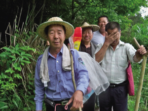 图片[2]-永嘉龙湾潭森林公园现神秘巨蟒 9米外看不见蛇尾-万荀网