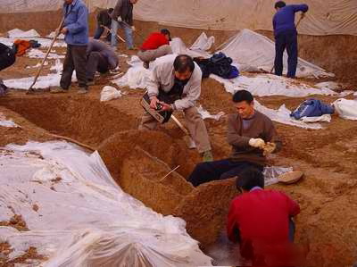 九连墩古墓与传说中的楚将军金头【三】-万荀网