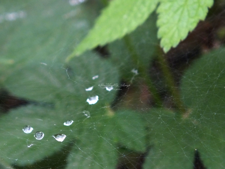 看六月的雨，今晚是否还是要下雨？-万荀网