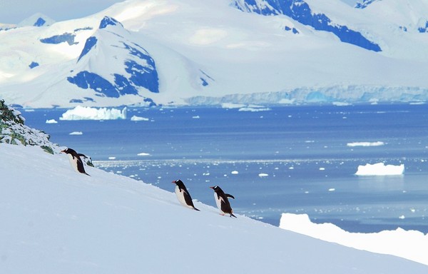 图片[2]-现实生活中难得一见的冰山美图-万荀网