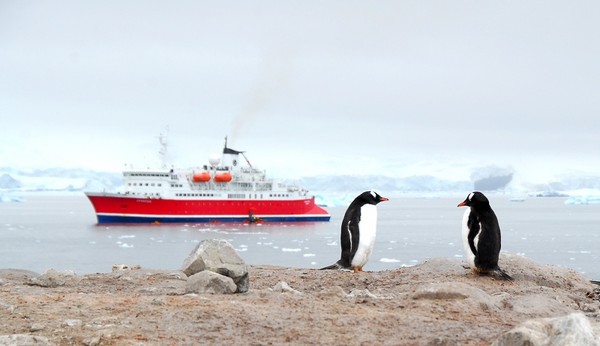 图片[7]-现实生活中难得一见的冰山美图-万荀网