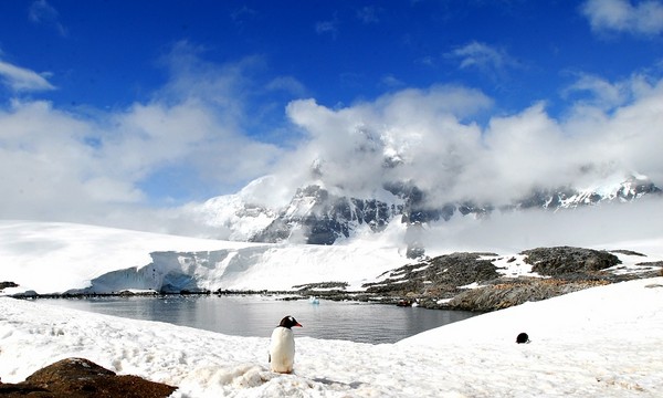 图片[16]-现实生活中难得一见的冰山美图-万荀网