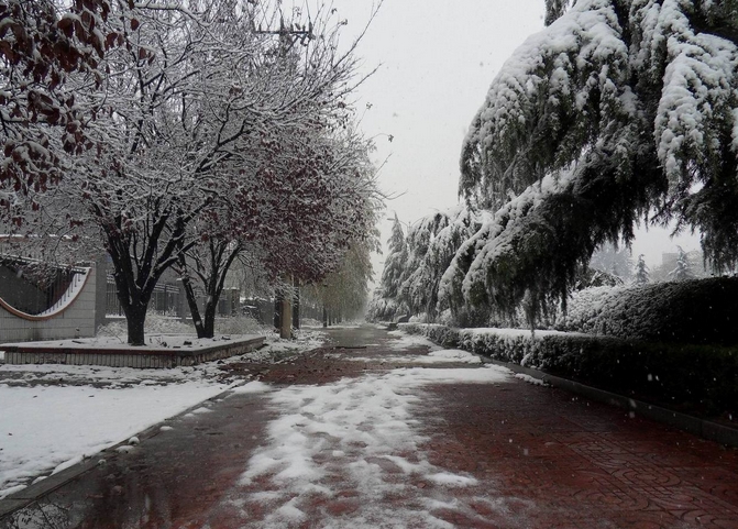 图片[7]-九省通衢被称为齐鲁咽喉的兖州-万荀网
