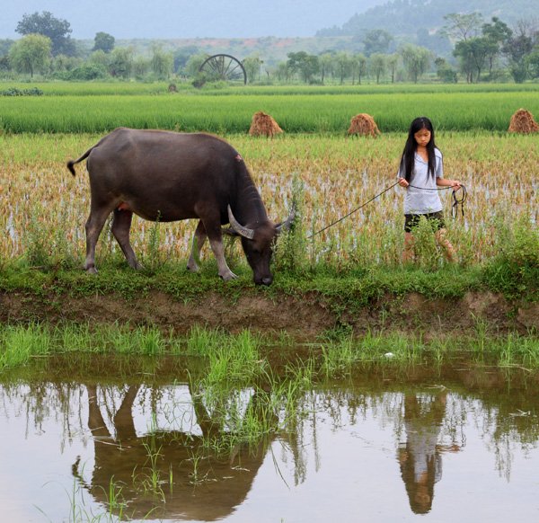 时不时想想-人生最有感觉的还是80后的童年-万荀网