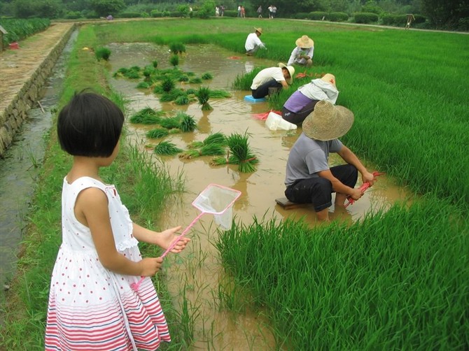 图片[10]-时不时想想-人生最有感觉的还是80后的童年-万荀网