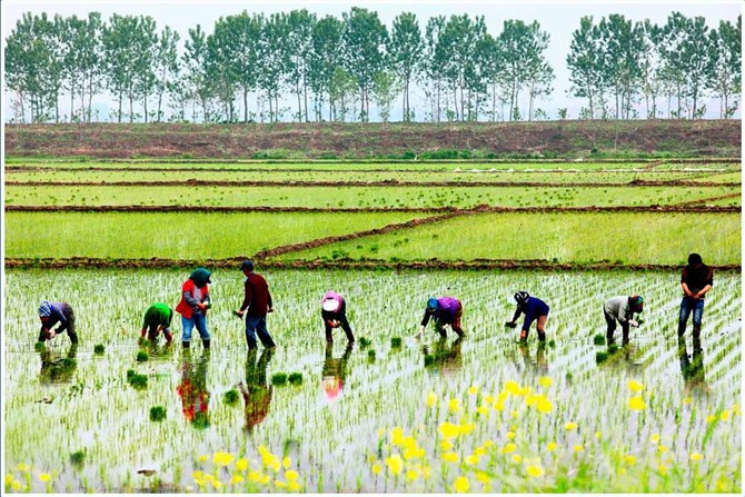 图片[11]-时不时想想-人生最有感觉的还是80后的童年-万荀网