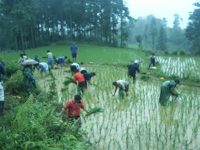 图片[12]-时不时想想-人生最有感觉的还是80后的童年-万荀网