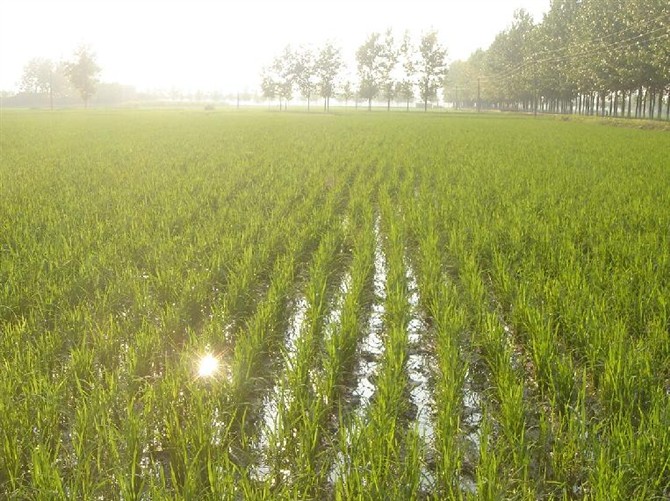 图片[13]-时不时想想-人生最有感觉的还是80后的童年-万荀网