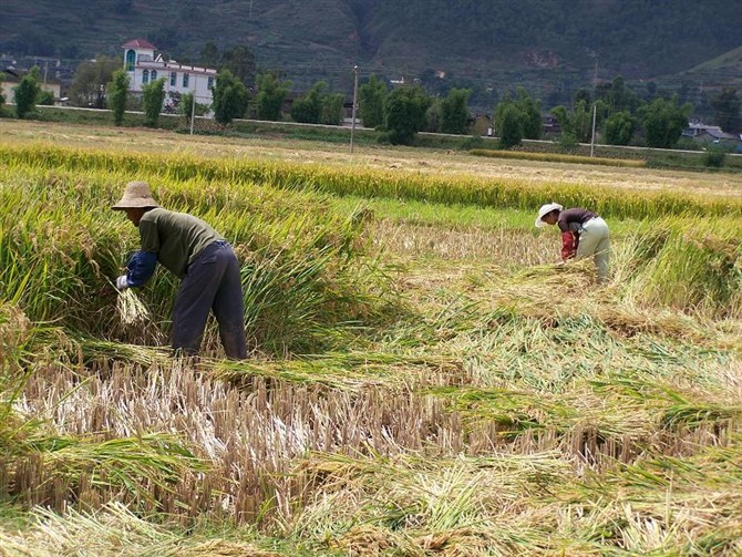 图片[14]-时不时想想-人生最有感觉的还是80后的童年-万荀网