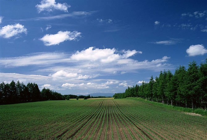 图片[15]-时不时想想-人生最有感觉的还是80后的童年-万荀网