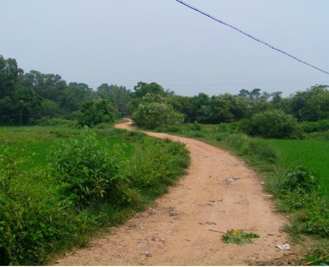 图片[2]-时不时想想-人生最有感觉的还是80后的童年-万荀网