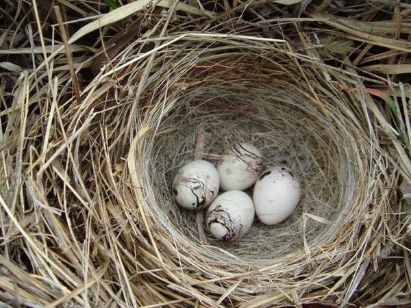 图片[20]-时不时想想-人生最有感觉的还是80后的童年-万荀网