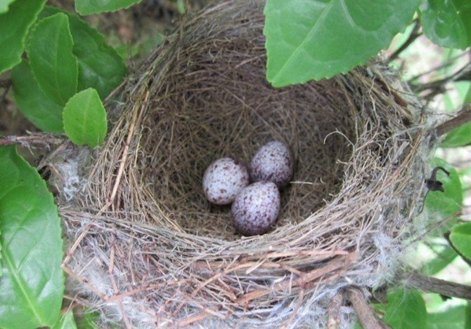 图片[22]-时不时想想-人生最有感觉的还是80后的童年-万荀网