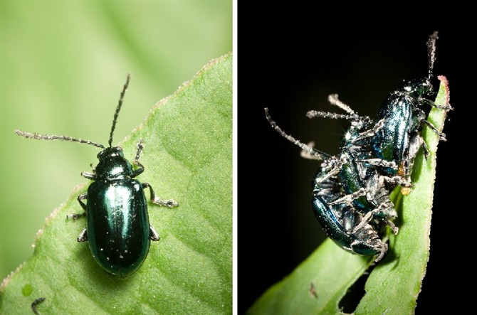 图片[27]-时不时想想-人生最有感觉的还是80后的童年-万荀网