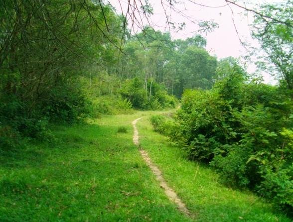 图片[29]-时不时想想-人生最有感觉的还是80后的童年-万荀网