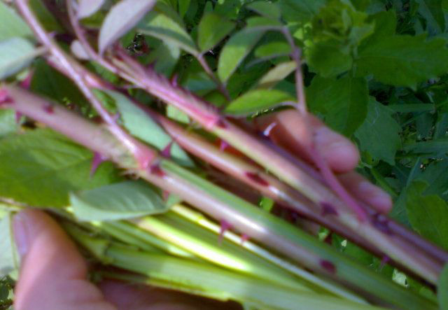 图片[35]-时不时想想-人生最有感觉的还是80后的童年-万荀网