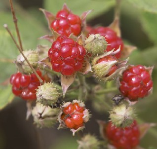 图片[36]-时不时想想-人生最有感觉的还是80后的童年-万荀网