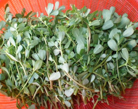 图片[40]-时不时想想-人生最有感觉的还是80后的童年-万荀网