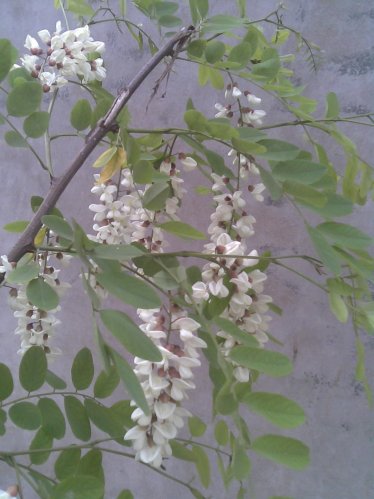 图片[42]-时不时想想-人生最有感觉的还是80后的童年-万荀网