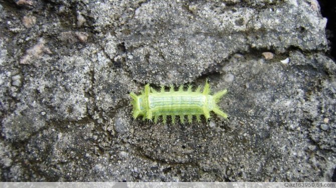 图片[43]-时不时想想-人生最有感觉的还是80后的童年-万荀网