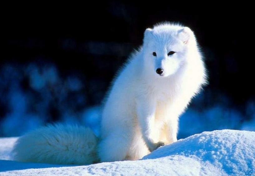 不是昨天失去的太多，而是沉浸于昨天的悲哀之中-万荀网