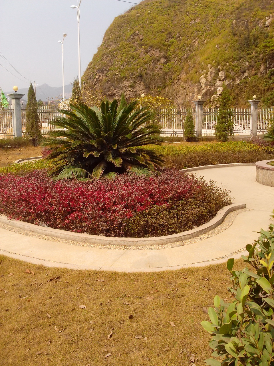 图片[2]-公司办公楼侧边那酷似美景的风景-万荀网