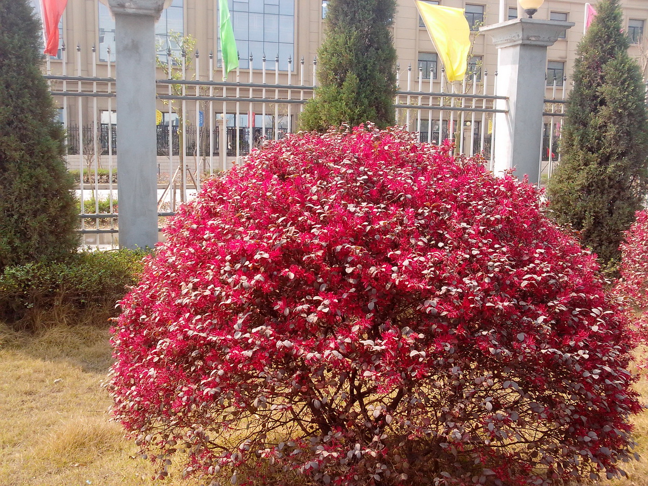 图片[3]-公司办公楼侧边那酷似美景的风景-万荀网