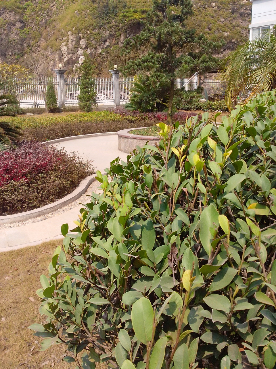 图片[4]-公司办公楼侧边那酷似美景的风景-万荀网