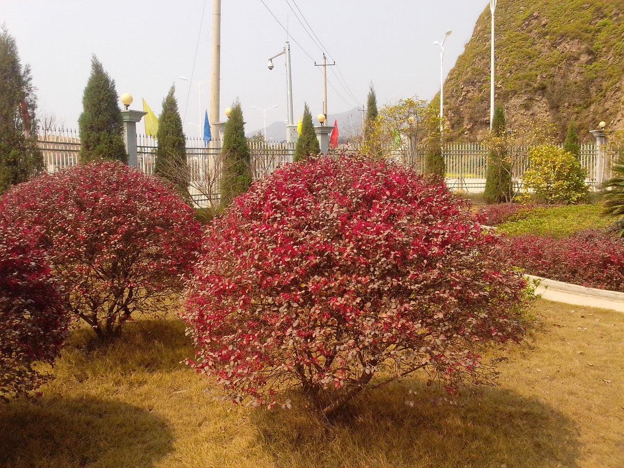 图片[7]-公司办公楼侧边那酷似美景的风景-万荀网