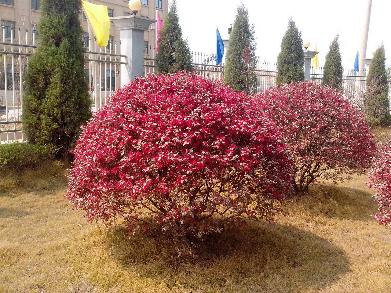 图片[8]-公司办公楼侧边那酷似美景的风景-万荀网