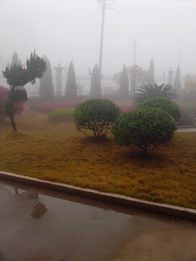 图片[3]-周一的早晨又一个能见度不足10米的日子-万荀网