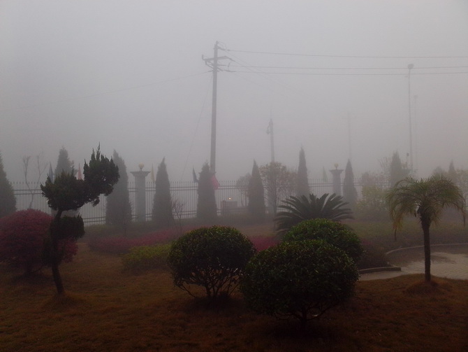 图片[2]-周一的早晨又一个能见度不足10米的日子-万荀网