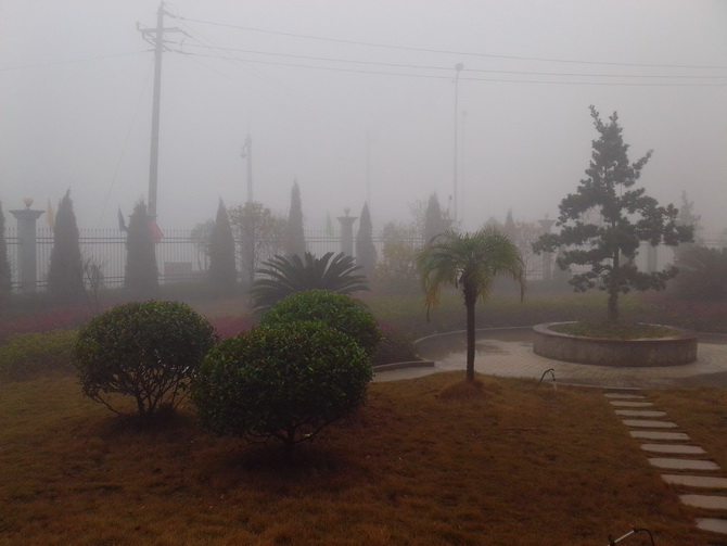 周一的早晨又一个能见度不足10米的日子-万荀网