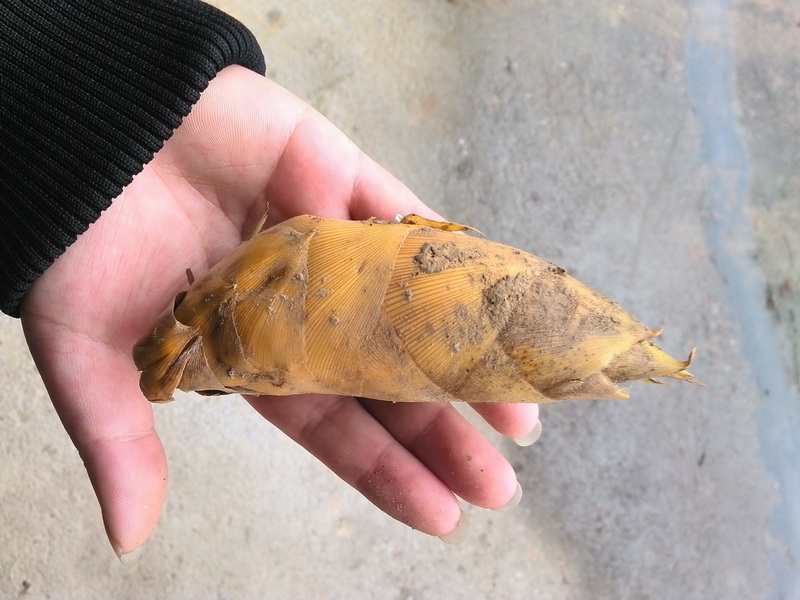 生活中有时候随手一拍也能很美-万荀网