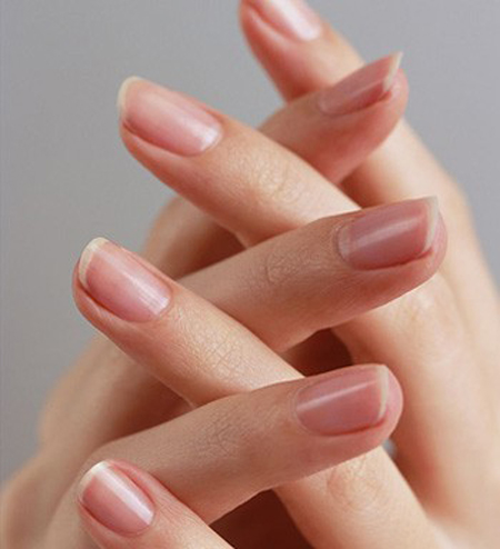 每天一碗，手指月牙回来了！白头发也不见了-万荀网