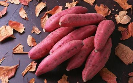 从没人告诉我红薯可以这么吃-万荀网