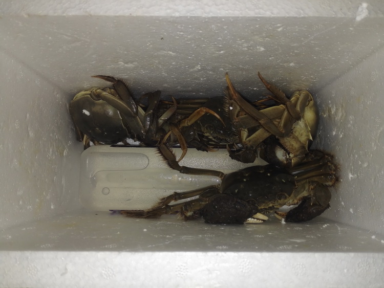 有空闲的时候还是自己动手，绝对干净又美味-万荀网