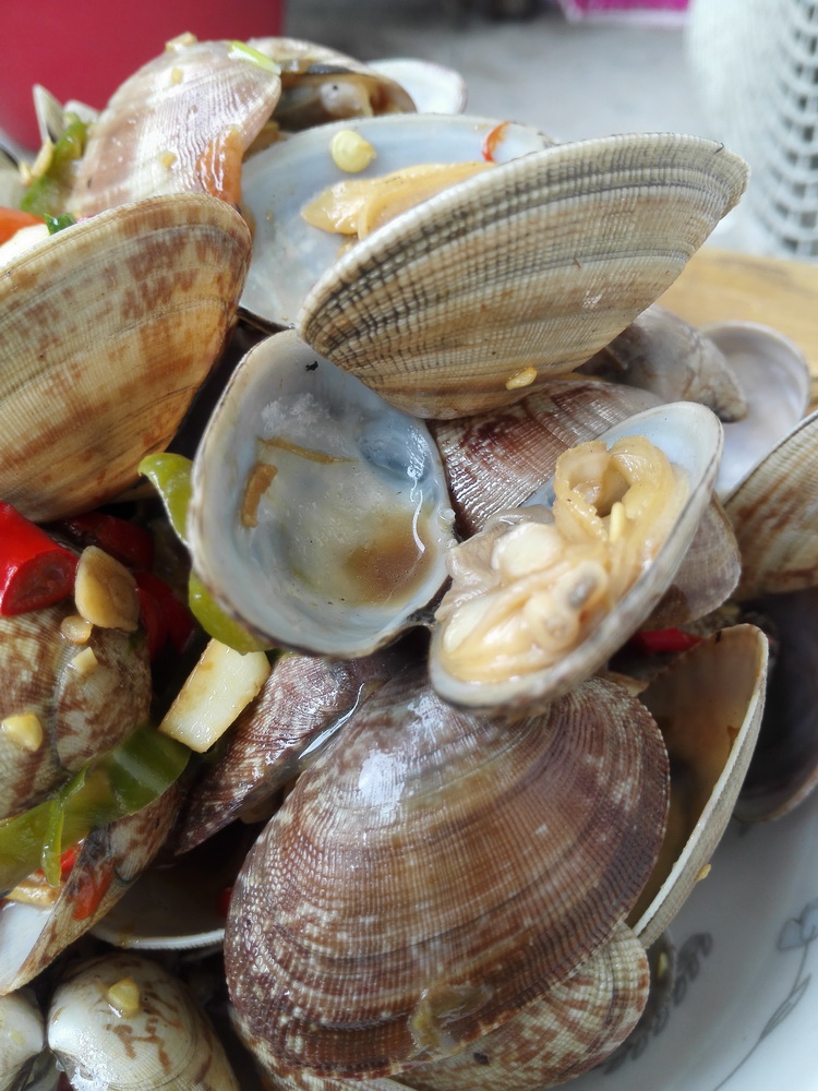 IMG_20141102_124050_