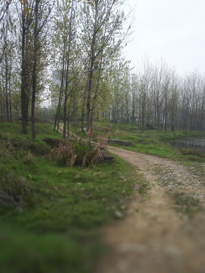 秋日的桃花湖美景-万荀网
