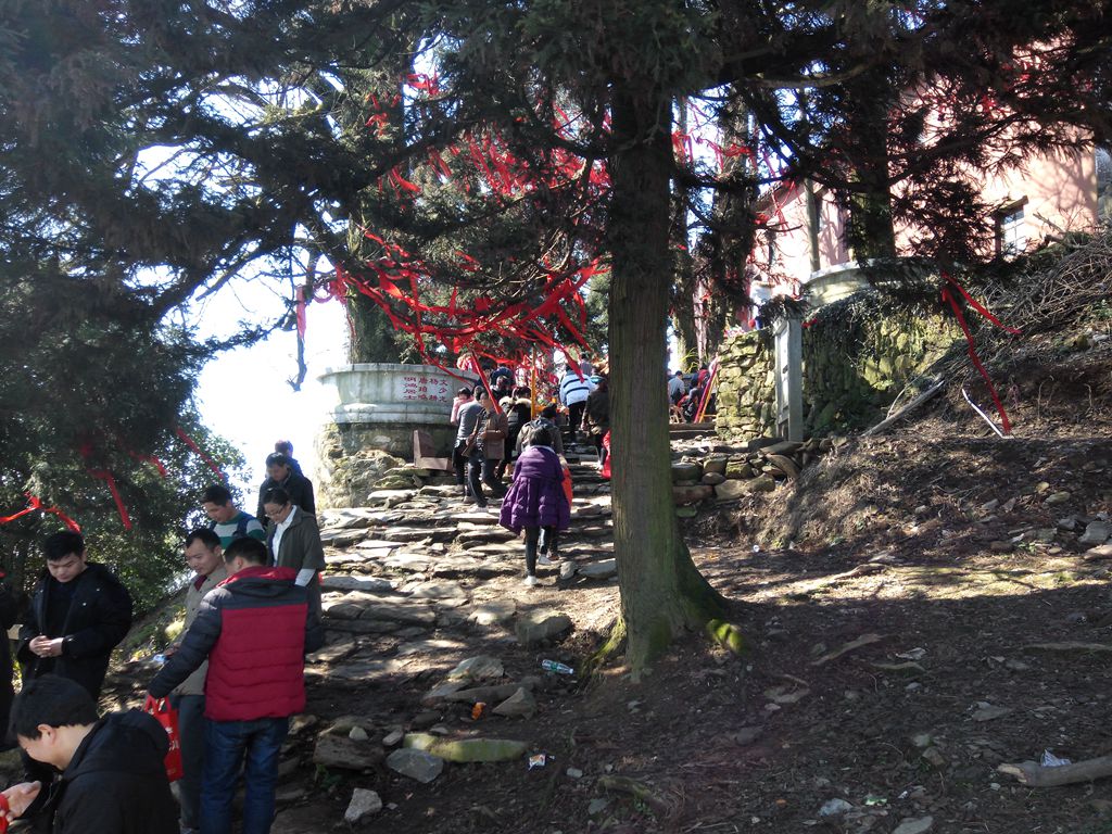图片[13]-新年伊始-登山减脂，大雾深山行之【浮丘圣地】-万荀网