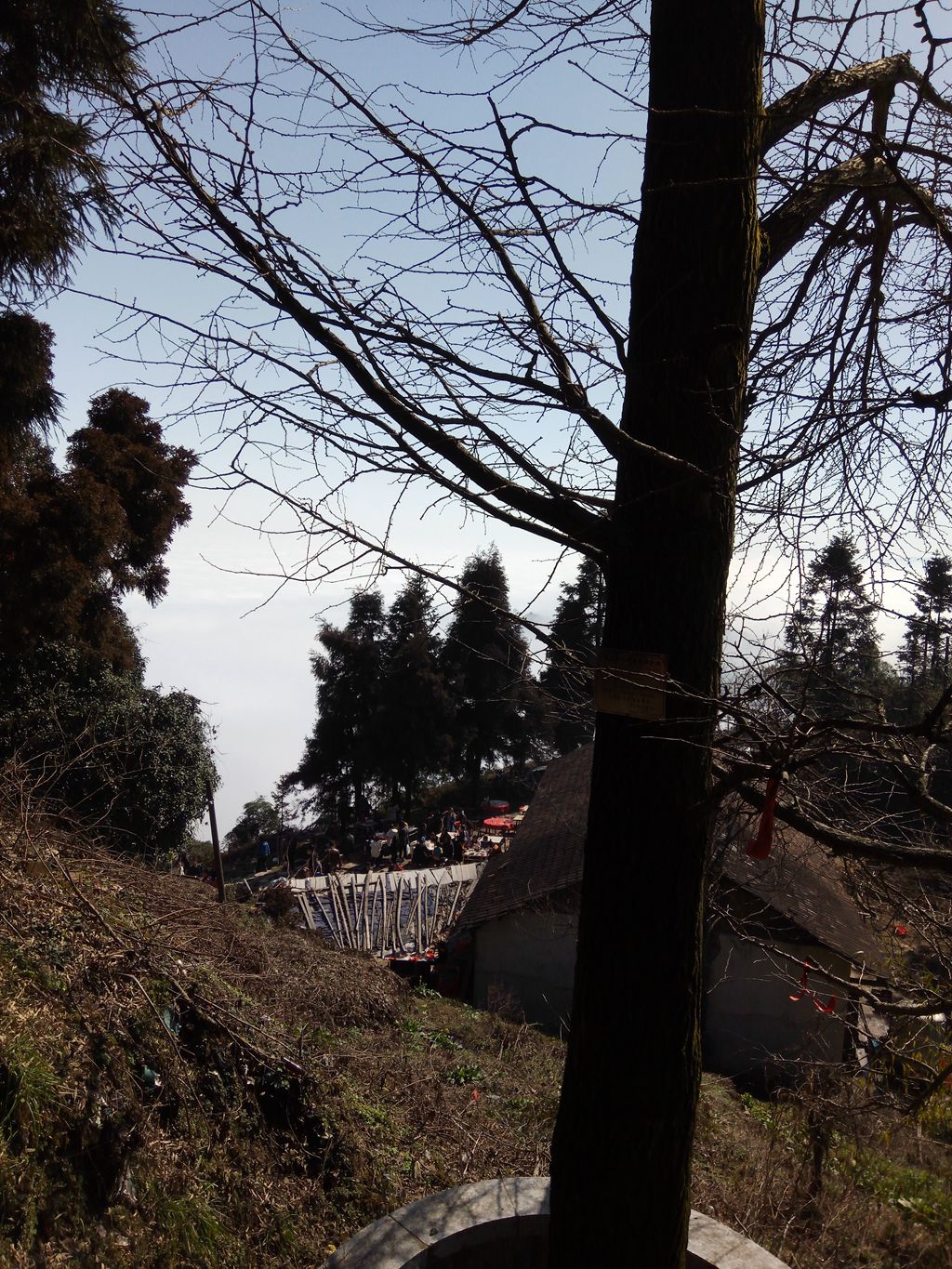 图片[16]-新年伊始-登山减脂，大雾深山行之【浮丘圣地】-万荀网