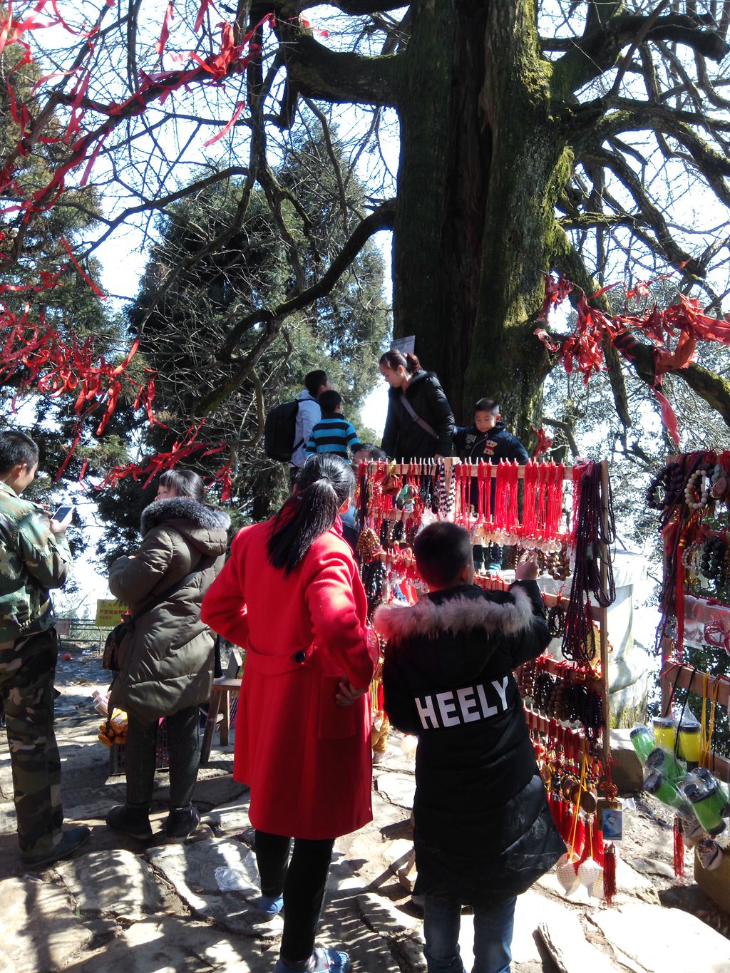 图片[17]-新年伊始-登山减脂，大雾深山行之【浮丘圣地】-万荀网