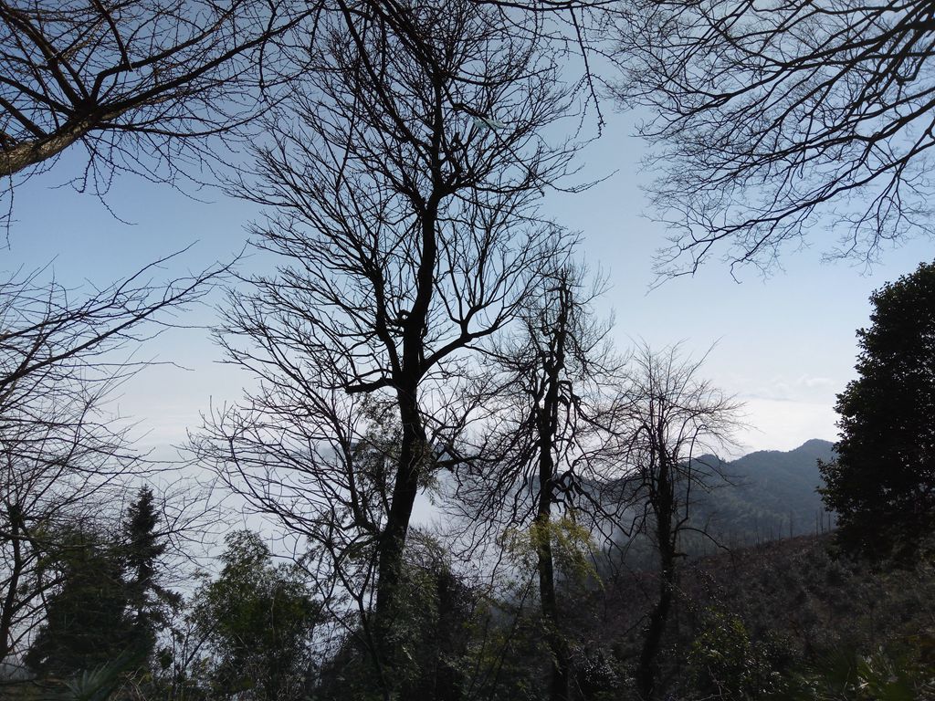 图片[10]-新年伊始-登山减脂，大雾深山行之【浮丘圣地】-万荀网