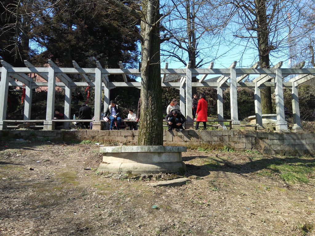 图片[19]-新年伊始-登山减脂，大雾深山行之【浮丘圣地】-万荀网