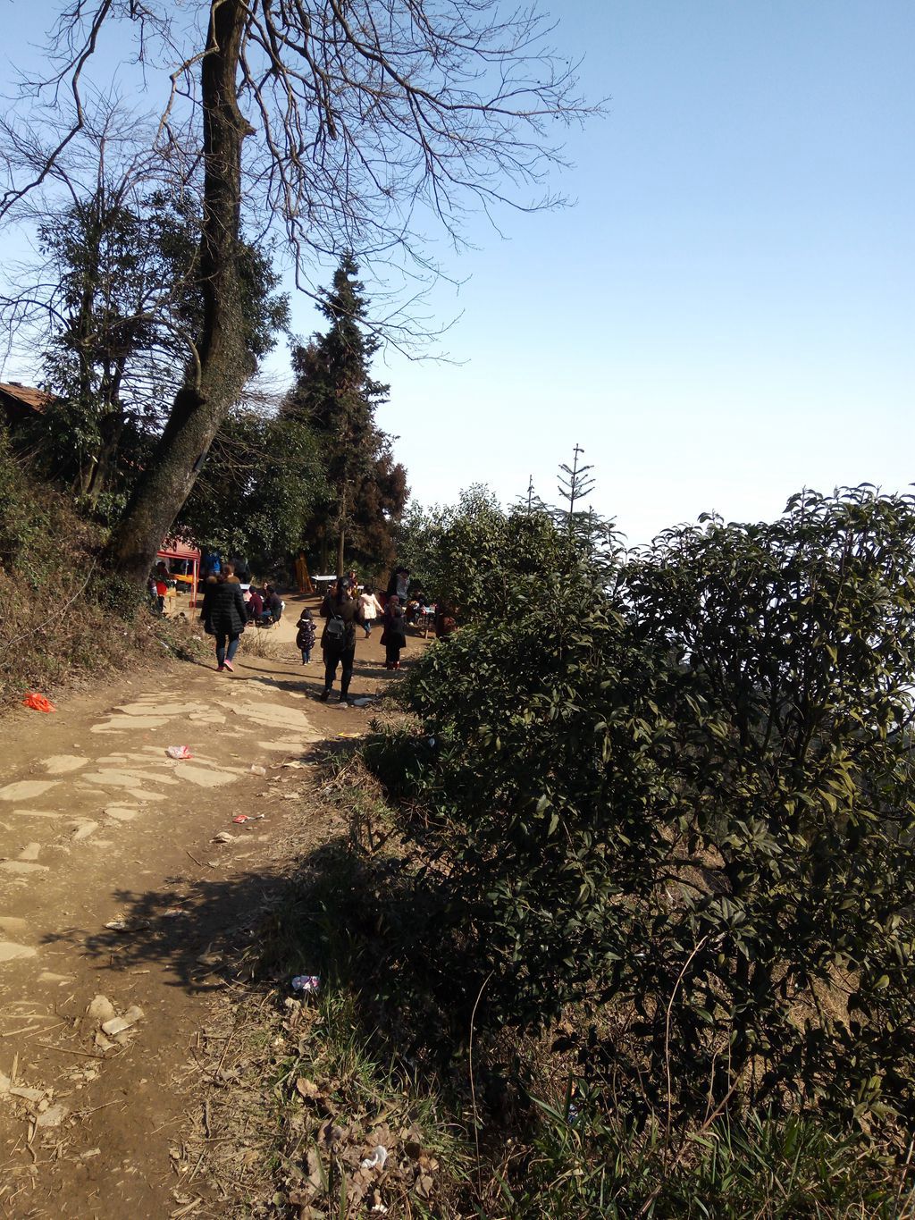 图片[11]-新年伊始-登山减脂，大雾深山行之【浮丘圣地】-万荀网