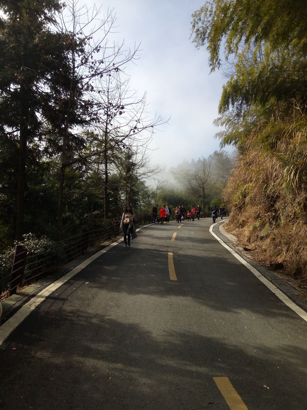 图片[29]-新年伊始-登山减脂，大雾深山行之【浮丘圣地】-万荀网