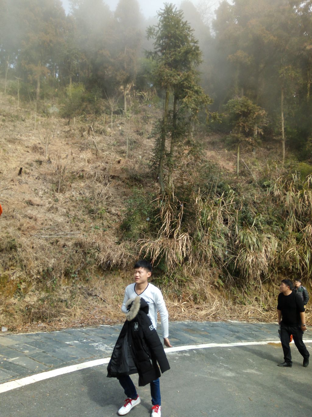 图片[3]-新年伊始-登山减脂，大雾深山行之【浮丘圣地】-万荀网