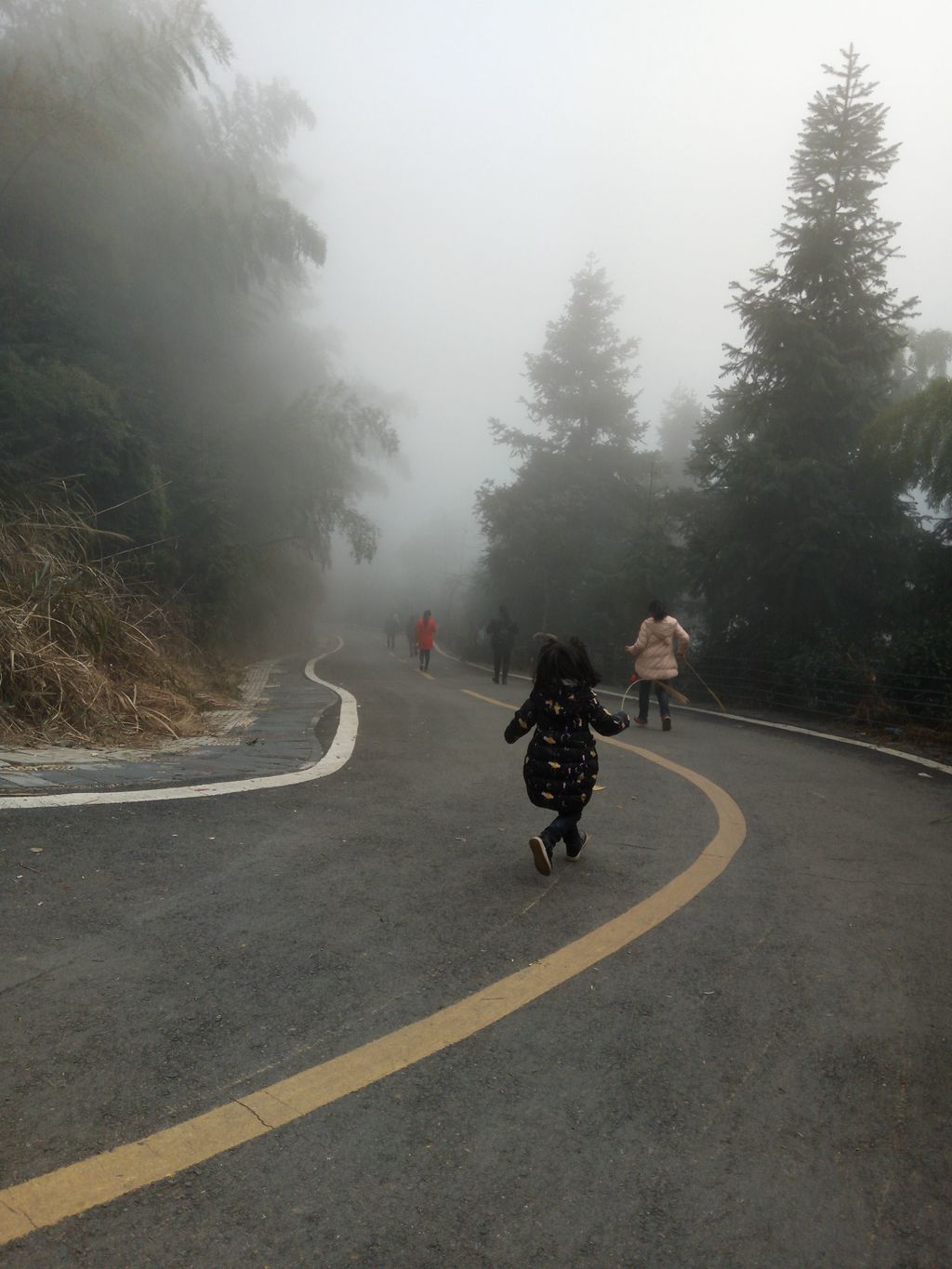 图片[6]-新年伊始-登山减脂，大雾深山行之【浮丘圣地】-万荀网