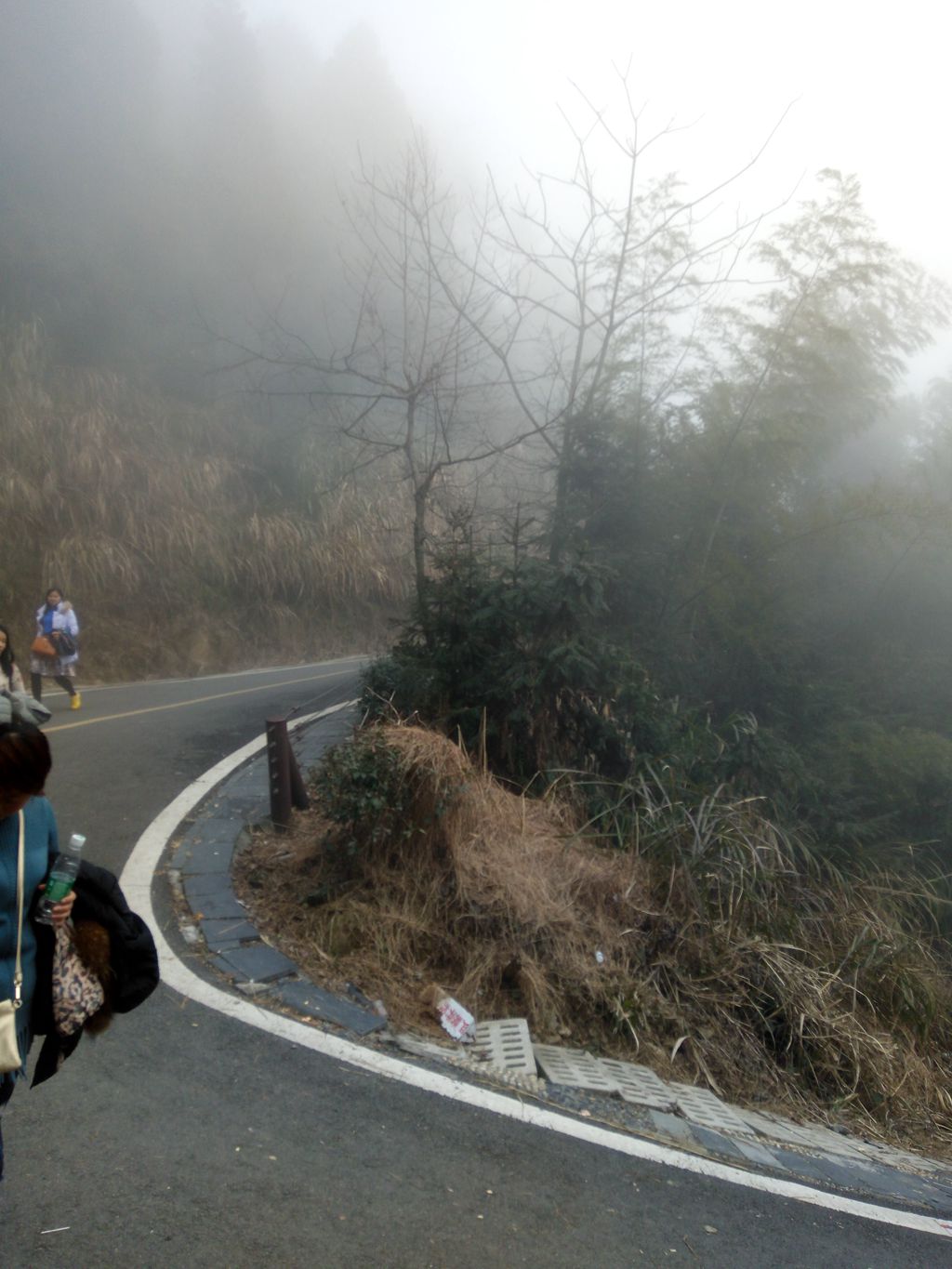 图片[7]-新年伊始-登山减脂，大雾深山行之【浮丘圣地】-万荀网