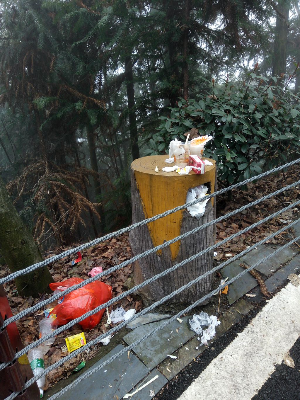 图片[8]-新年伊始-登山减脂，大雾深山行之【浮丘圣地】-万荀网